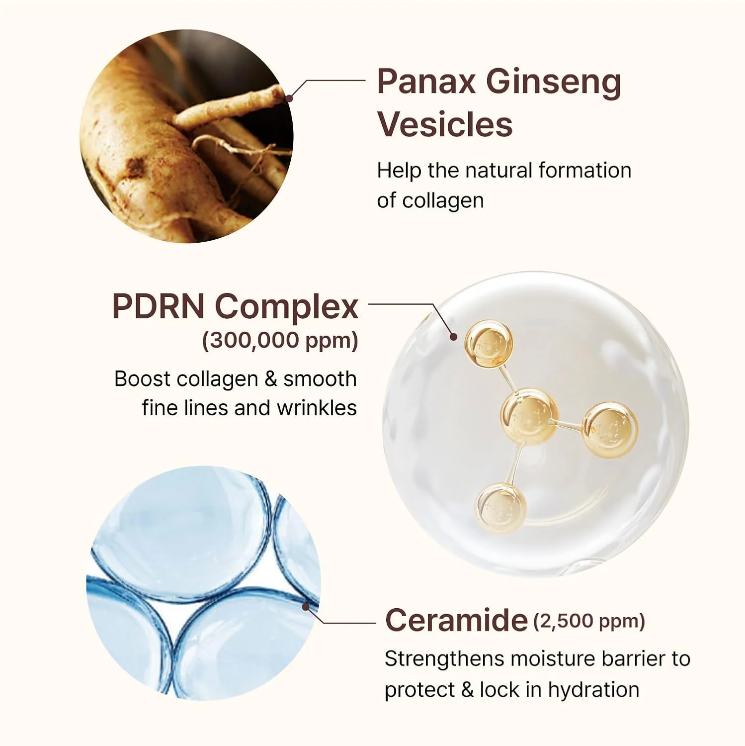 Centellian24 PDRN Firming Boosting Ampoule - Ενισχυμένος Ορός Σύσφιξης & Αντιγήρανσης με PDRN & Ρετινόλη - Image 3